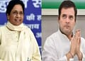 Rahul Gandhi offered to Mayavati