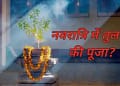 Tulsi Mata Puja Tips