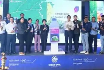 अंगूर और आलू