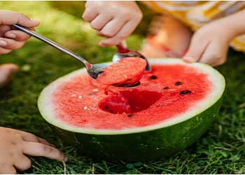 तरबूज