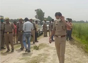 झाड़ियों