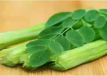 मोरिंगा