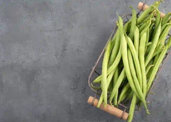 Vegetable Reduces Cholestero