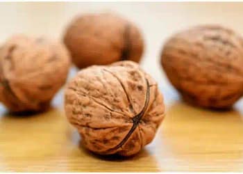 Walnuts Benefits