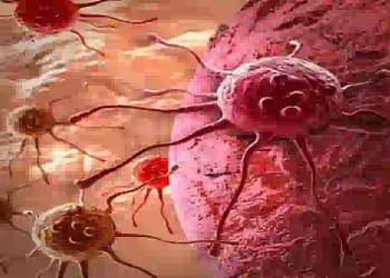 बीटा-कैरोटीन