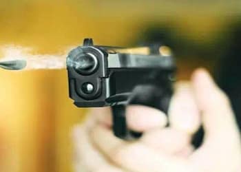 भारतीय मूल