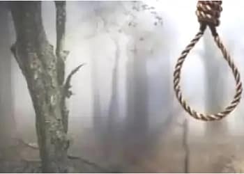 पेड़ से लटकता