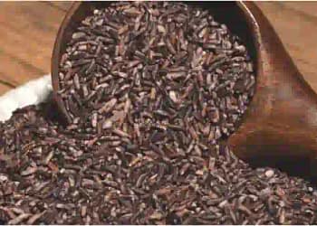 Black Rice