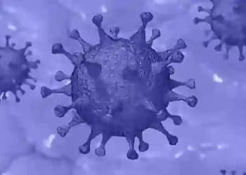 Omicron New Sub Variant