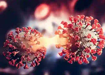 279 new cases of corona