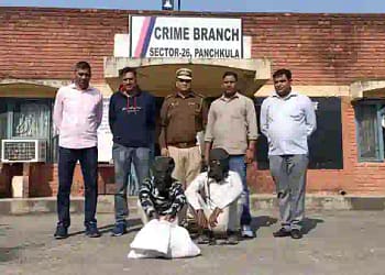 Panchkula Crime Branch