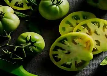 Green Tomatoes