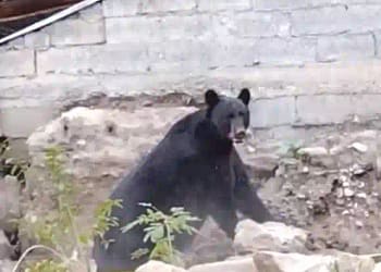 Muzquiz Municipality