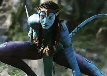 Box Office Collection