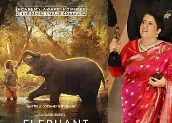 The Elephant Whispers