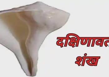 Dakshinavarti Shankh