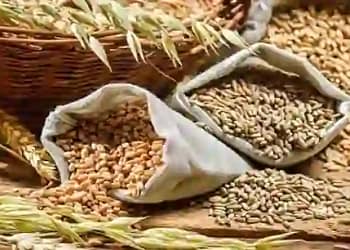 Wheat Procurement