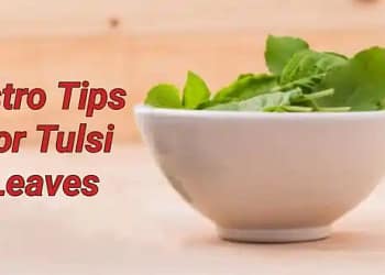 Tulsi leaves