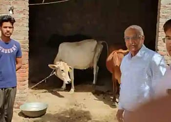 Vaccination campaign