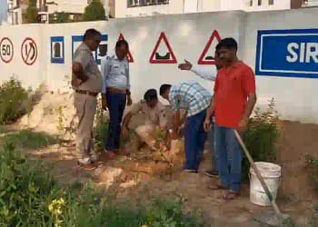 Baba Sarsai Nath Sewa