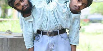 सोहणा-मोहणा