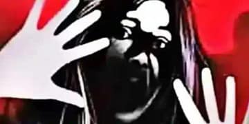 सिटी फॉरेस्ट