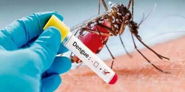 Dengue Cases