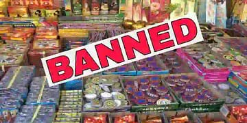 Firecrackers Ban