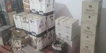 Himachal assembly election