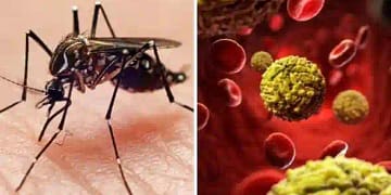 Situation deteriorated