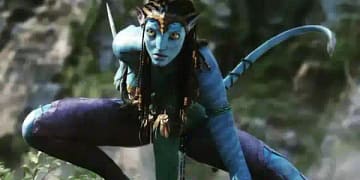 Box Office Collection