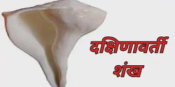 Dakshinavarti Shankh
