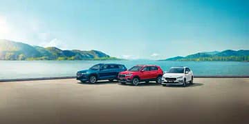 Skoda Auto India