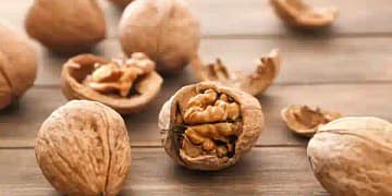 Walnut Health Benefits
