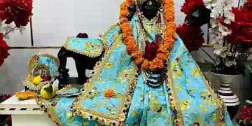 हरियाली अमावस्या पर शनि जन्मोत्सव समारोह