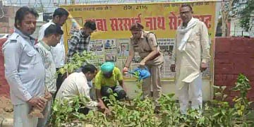 चौ. देवीलाल विश्वविद्यालय कर्मचारी संघ व बाबा सरसाईनाथ सेवा ट्रस्ट