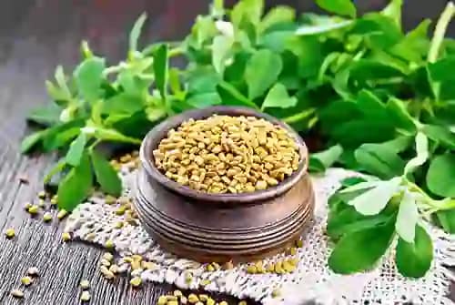 Fenugreek Leaves