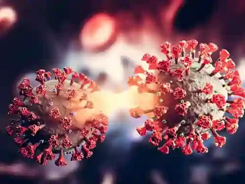 279 new cases of corona