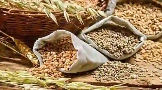 Wheat Procurement