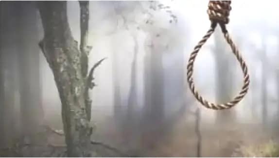 पेड़ से लटकता