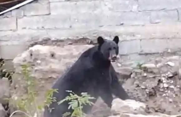 Muzquiz Municipality