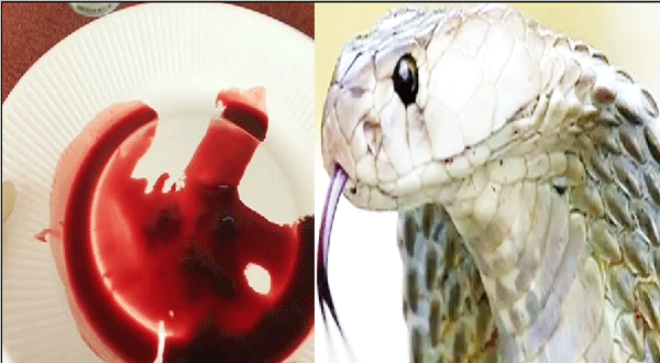 Chinese man demand snake juice in Gujarat