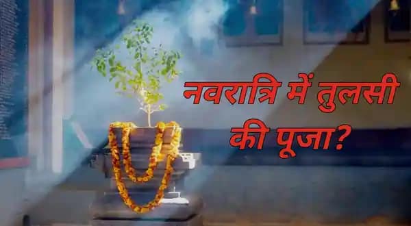 Tulsi Mata Puja Tips
