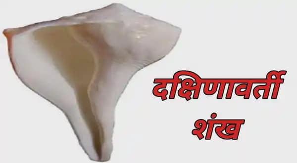 Dakshinavarti Shankh