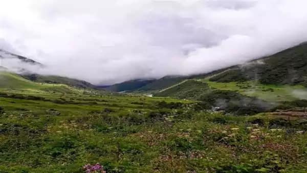 यूनेस्को