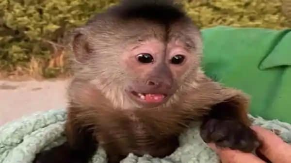 इमरजेंसी कॉल