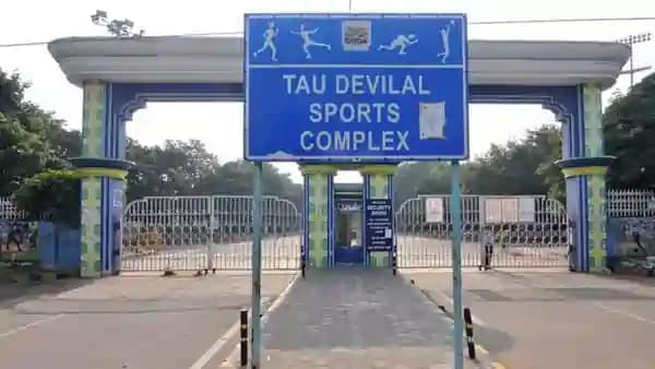 Forest Sports Competitions