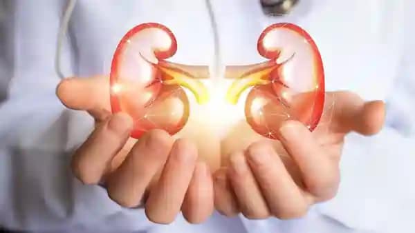 Kidney