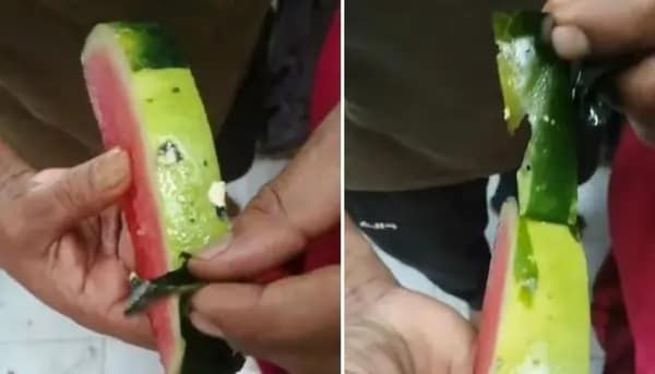 Watermelon Viral Video