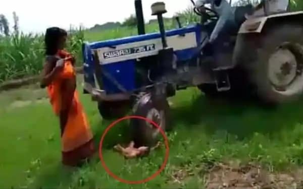 दुधमुंही बच्ची